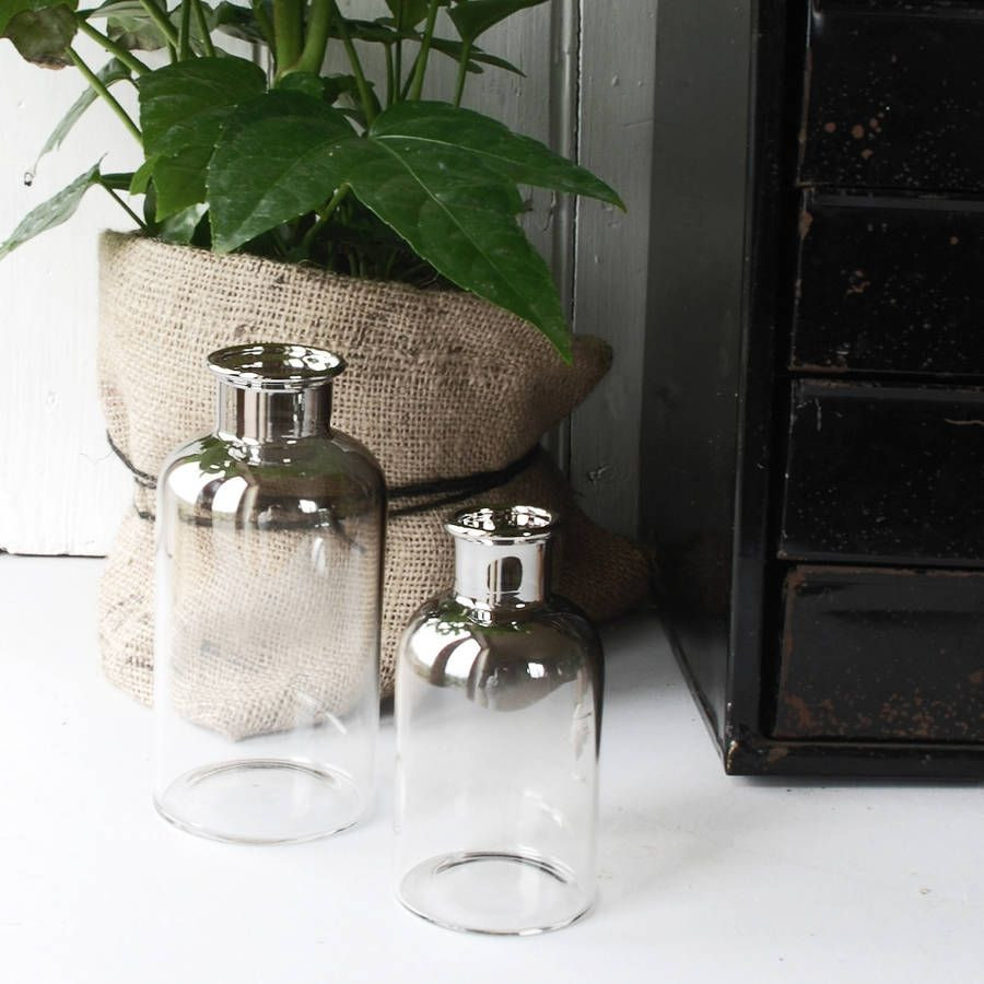 18 Cute Glass Jug Vase 2024 free download glass jug vase of beautiful smoky grey glass bottles that have a mercury dipped ombre within silver ombre glass bottles