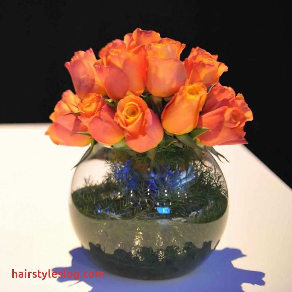 30 Fabulous Glass Round Fish Bowl Vases 2024 free download glass round fish bowl vases of 2018 small fish bowl flower arrangements ideas new 8 od orange rose with regard to 2018 small fish bowl flower arrangements ideas new 8 od orange rose foliage 