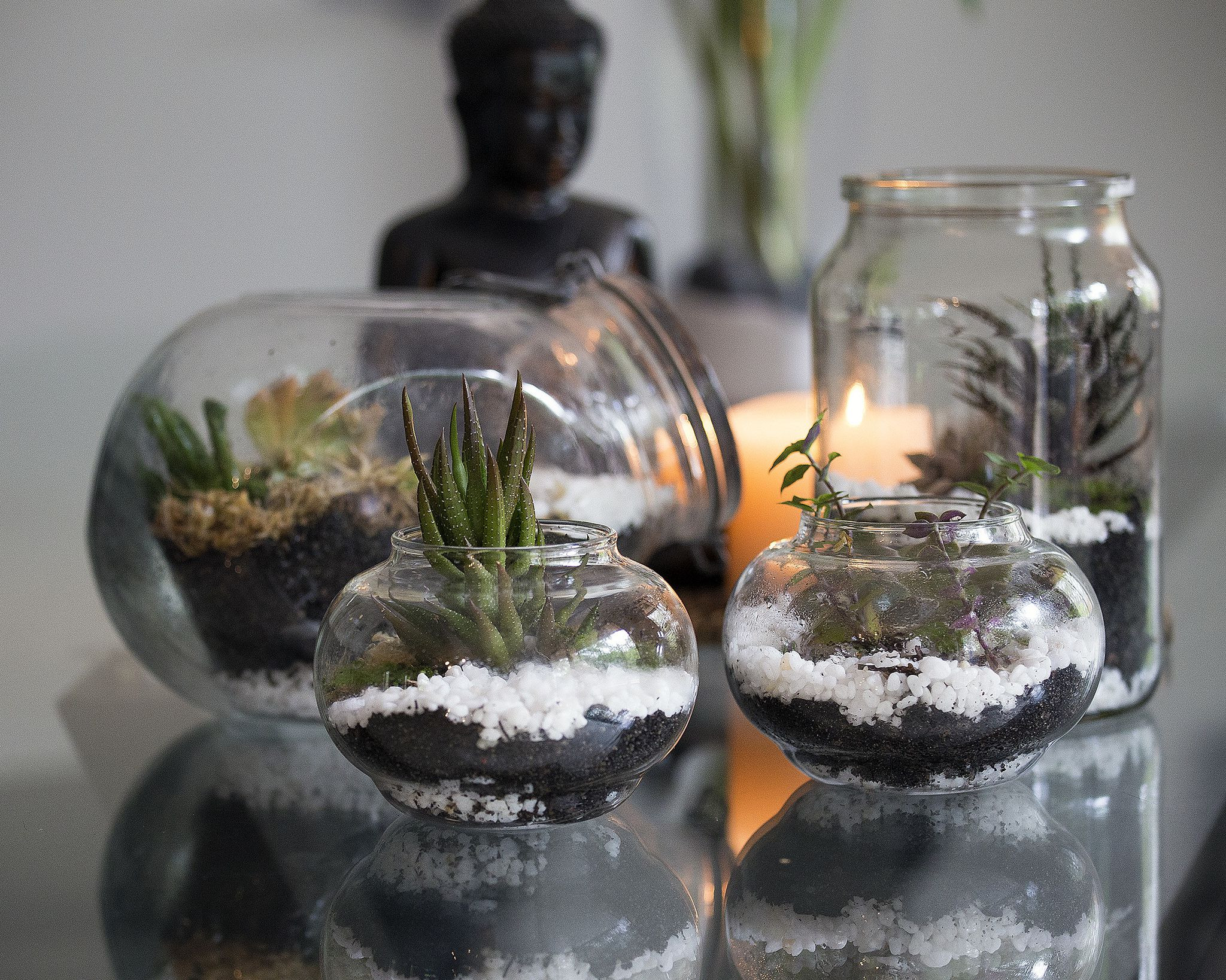 30 Fabulous Glass Round Fish Bowl Vases 2024 free download glass round fish bowl vases of common terrarium mistakes and how to avoid them in terrarium 22867406835 68063d4d0a k 58e699025f9b58ef7ee5c35d