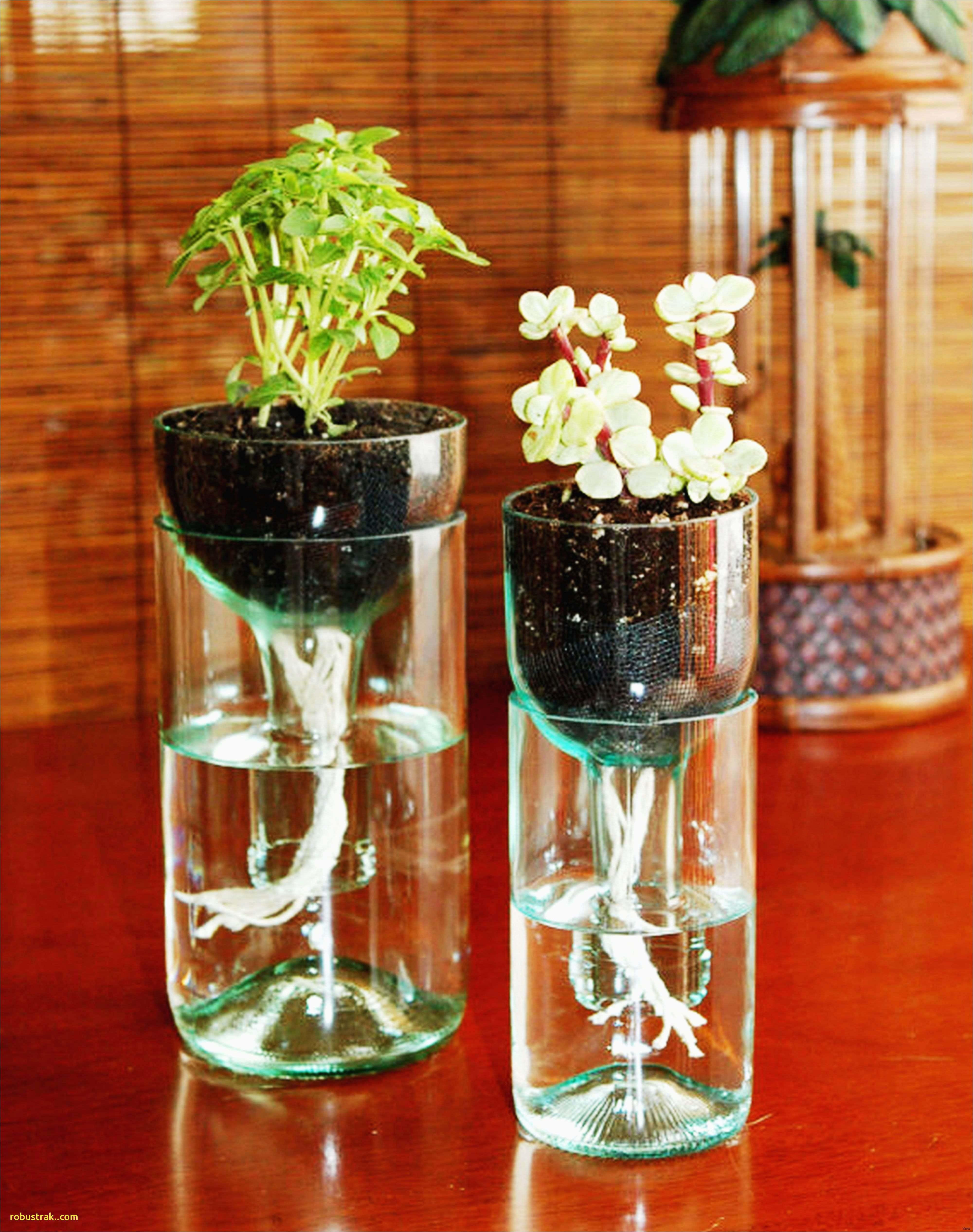 14 Trendy Glass Tube Flower Vase 2024 free download glass tube flower vase of 37 beautiful of christmas vase decorations christmas decor ideas within christmas vase decorations lovely 25 unique unique christmas ideas s