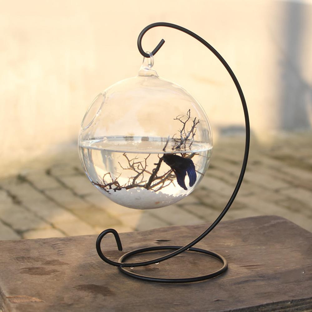 14 Nice Glass Vase Fish Bowl 2024 free download glass vase fish bowl of aquariums buy aquariums at best price in malaysia www diszo com with regard to 15cm diameter round shape hanging glass fish bowl aquarium tank plant flower vase home 