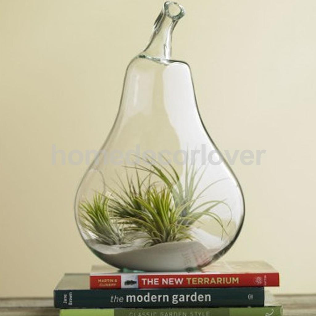 22 Stylish Glass Vase Terrarium 2024 free download glass vase terrarium of flower plant hanging clear glass vase bottle pot wedding garden pear for aeproduct getsubject