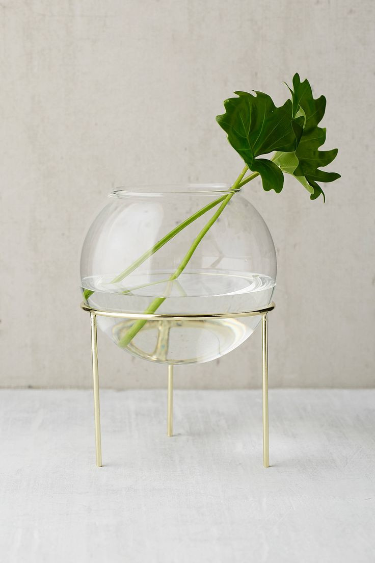 12 Fantastic Glass Vase with Hole In Bottom 2024 free download glass vase with hole in bottom of 526 best home images on pinterest gift ideas baby girl nurserys with ida glass globe planter tripod stand