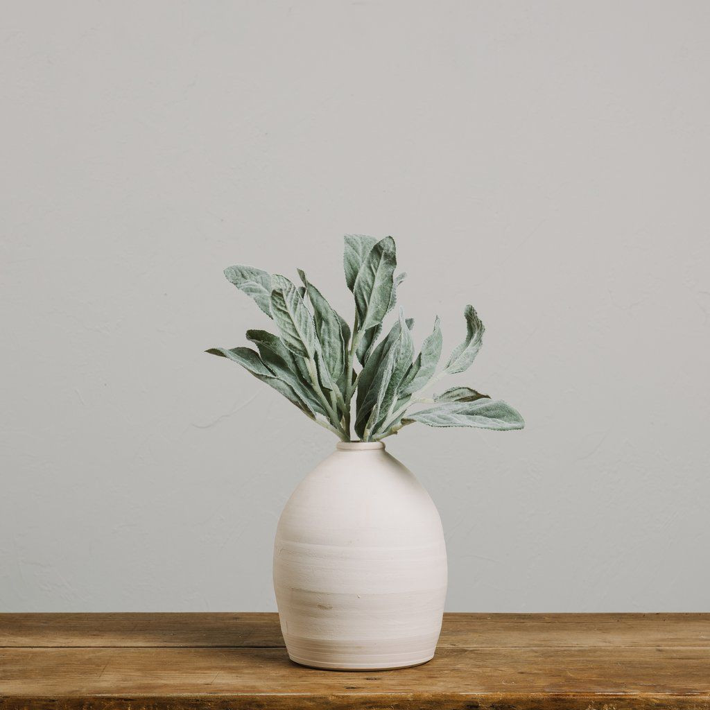 26 Wonderful Glass Vase with Stem 2024 free download glass vase with stem of lambs ear stem joanna gaines and apartments throughout lambs ear stem