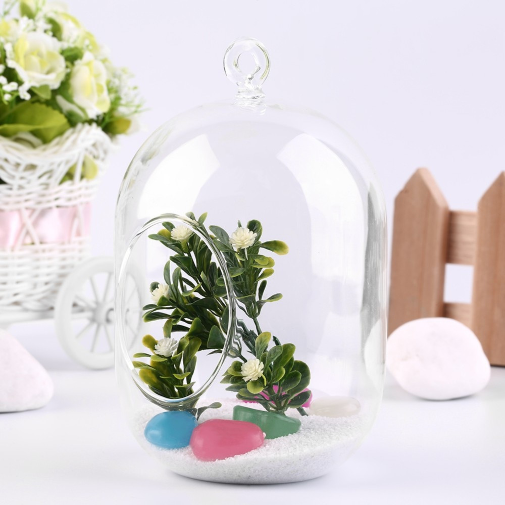 10 Nice Globe Glass Vase 2024 free download globe glass vase of 2017 clear glass vase hanging terrarium succulents plant landscape intended for getsubject aeproduct