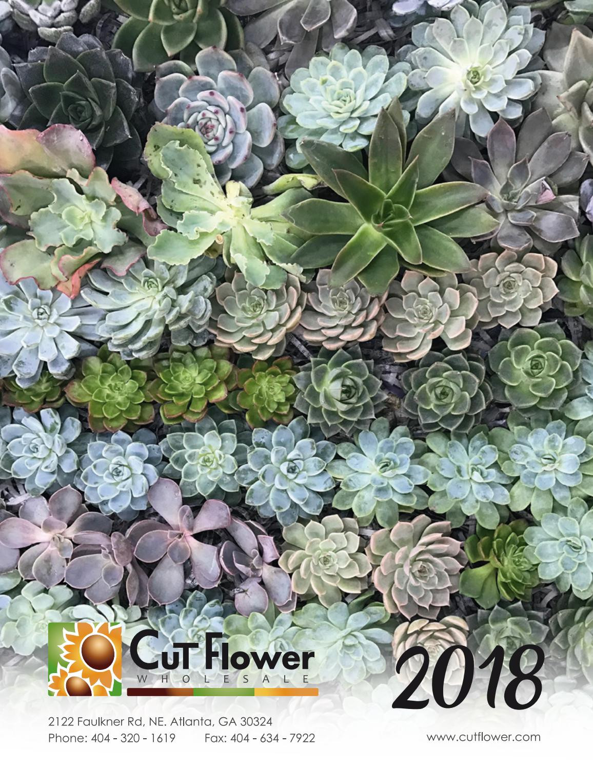 18 Lovely Gold Mercury Flower Vases 2024 free download gold mercury flower vases of 2018 cut flower wholesale catalog by cut flower wholesale inc issuu in page 1