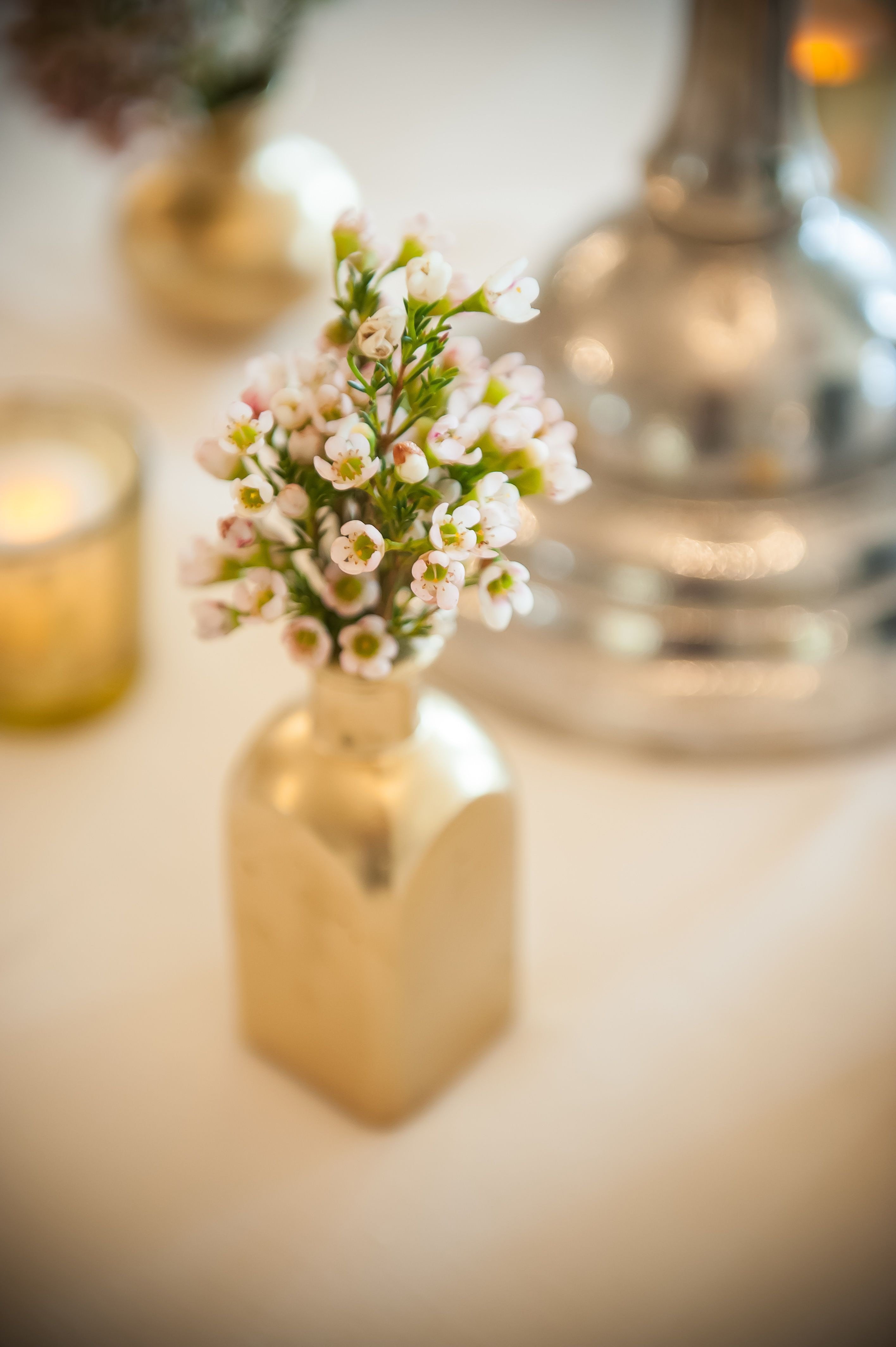 26 Stunning Gold Vase White Flowers 2024 free download gold vase white flowers of how about little gold bud vases with white waxflowers for the with how about little gold bud vases with white waxflowers for the cocktail tables www