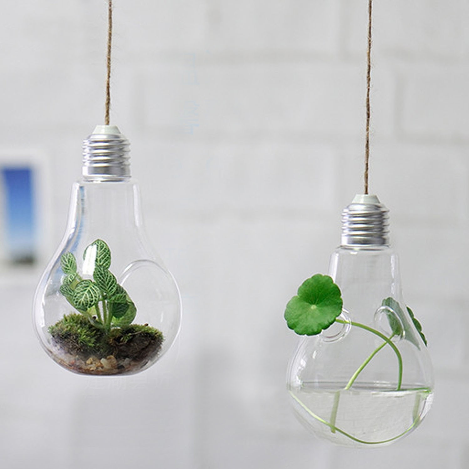 10 Nice Grow Bulbs In Glass Vase 2024 free download grow bulbs in glass vase of behogar 2017 new glass bulb lamp shape flower water plant hanging regarding 1 x glass bulb vase htb1prghmvxxxxxoxpxxq6xxfxxxi