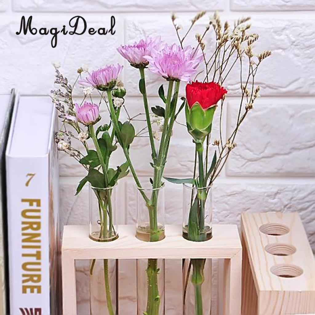 30 Fashionable Growing Bulbs In Vases 2024 free download growing bulbs in vases of magideal crystal glass vase test tube in wooden stand for flowers throughout aeproduct getsubject