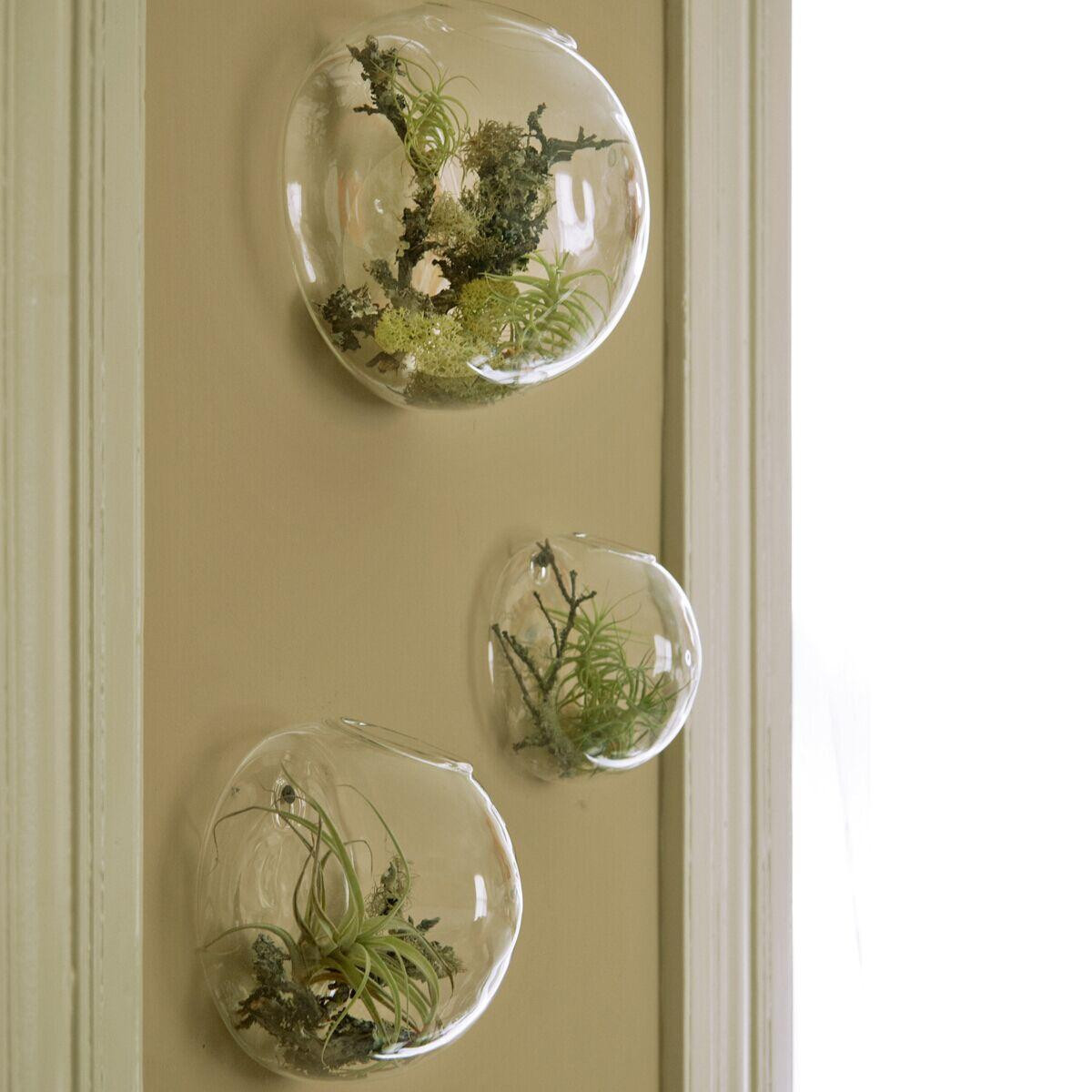 27 Fabulous Half Vase Wall Decor 2024 free download half vase wall decor of glass wall vases pictures wall bubble terrariums glass wall vase for within glass wall vases pictures wall bubble terrariums glass wall vase for flowers indoor plants