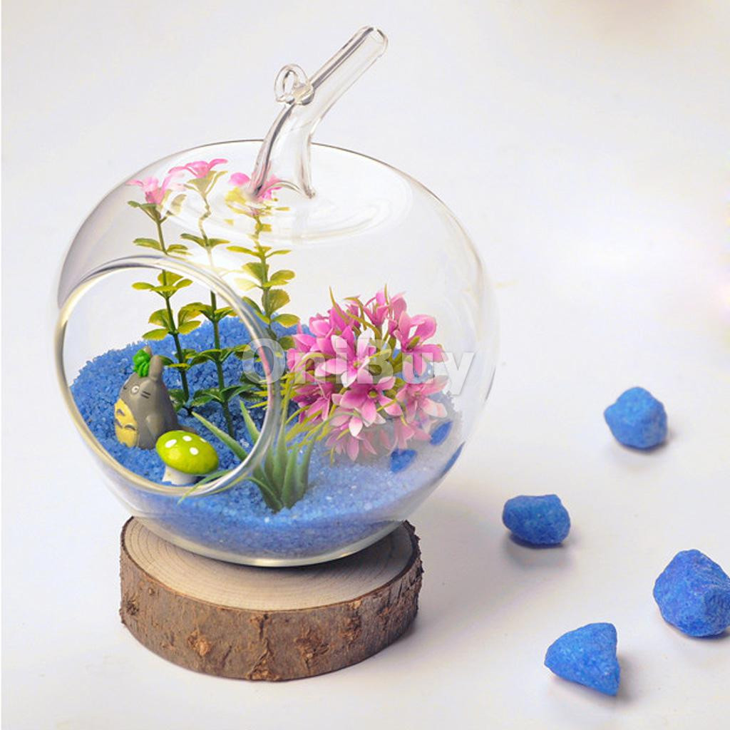 10 Spectacular Hanging Glass Cone Vase 2024 free download hanging glass cone vase of aliexpress com buy hot sale clear glass diy hanging vase bottle for aeproduct getsubject