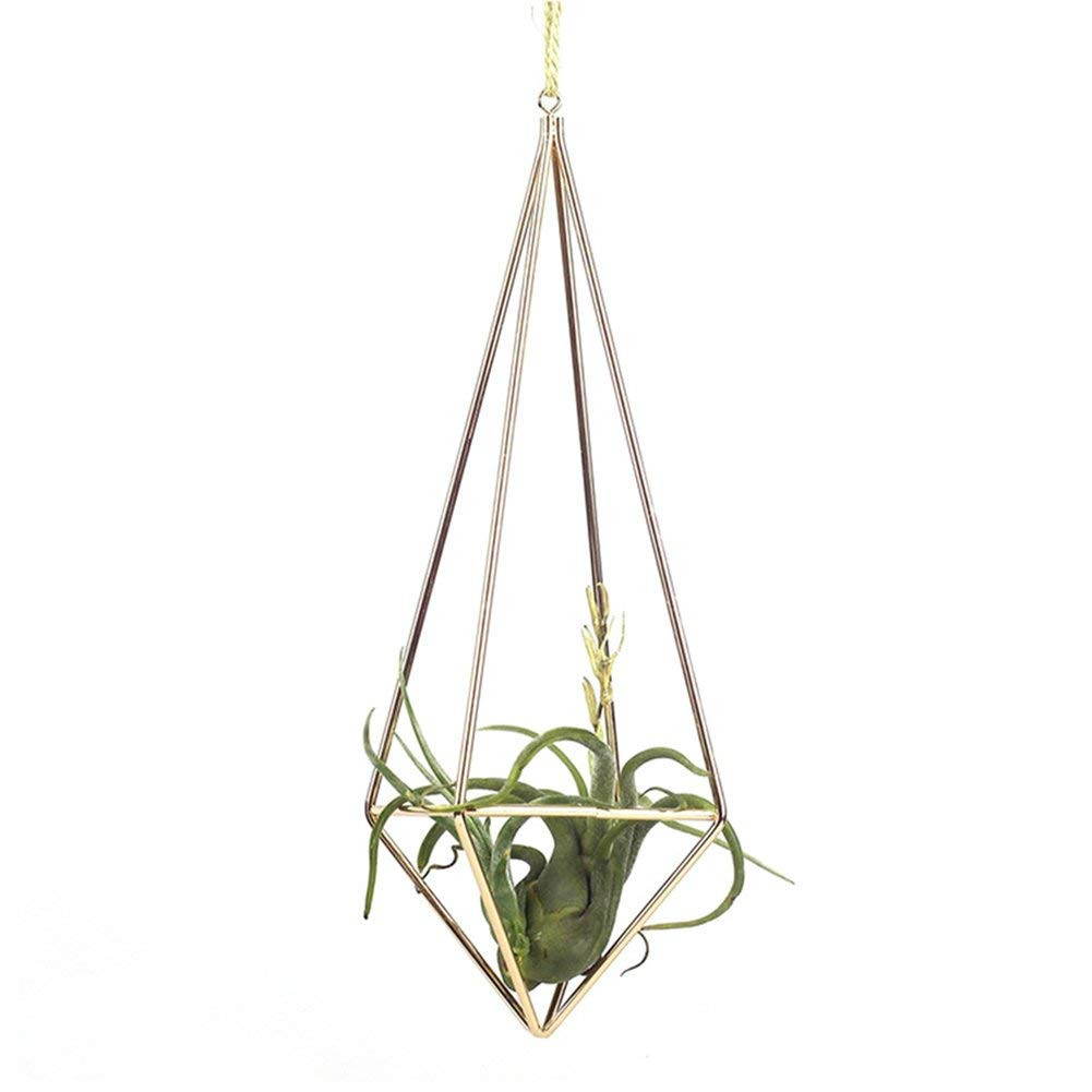 15 Great Hanging Glass Vase with Rope 2024 free download hanging glass vase with rope of amazon com sundlight 1 pack hanging air plant holder metal regarding amazon com sundlight 1 pack hanging air plant holder metal geometric tillandsia flower st