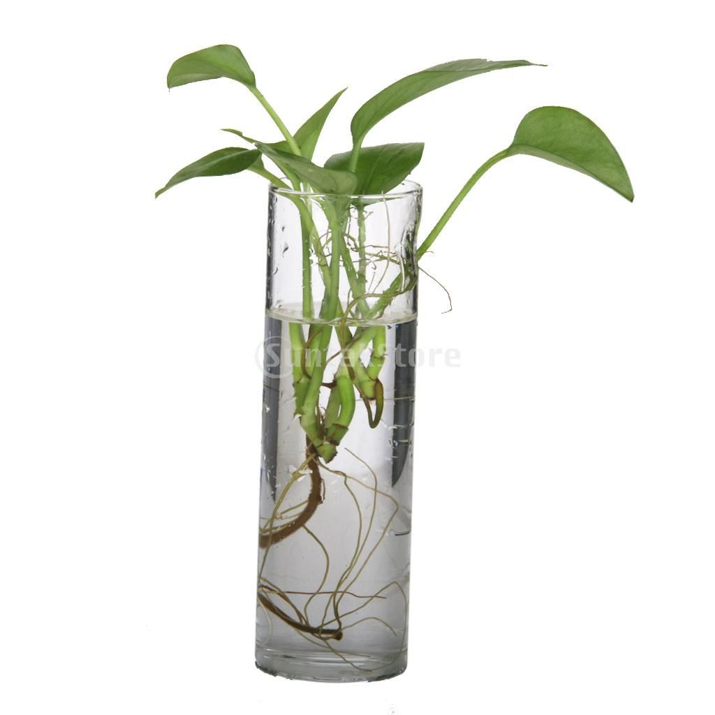 15 Great Hanging Glass Vase with Rope 2024 free download hanging glass vase with rope of cheap vase bottle buy quality hanging vase directly from china wall regarding cheap vase bottle buy quality hanging vase directly from china wall hanging vase