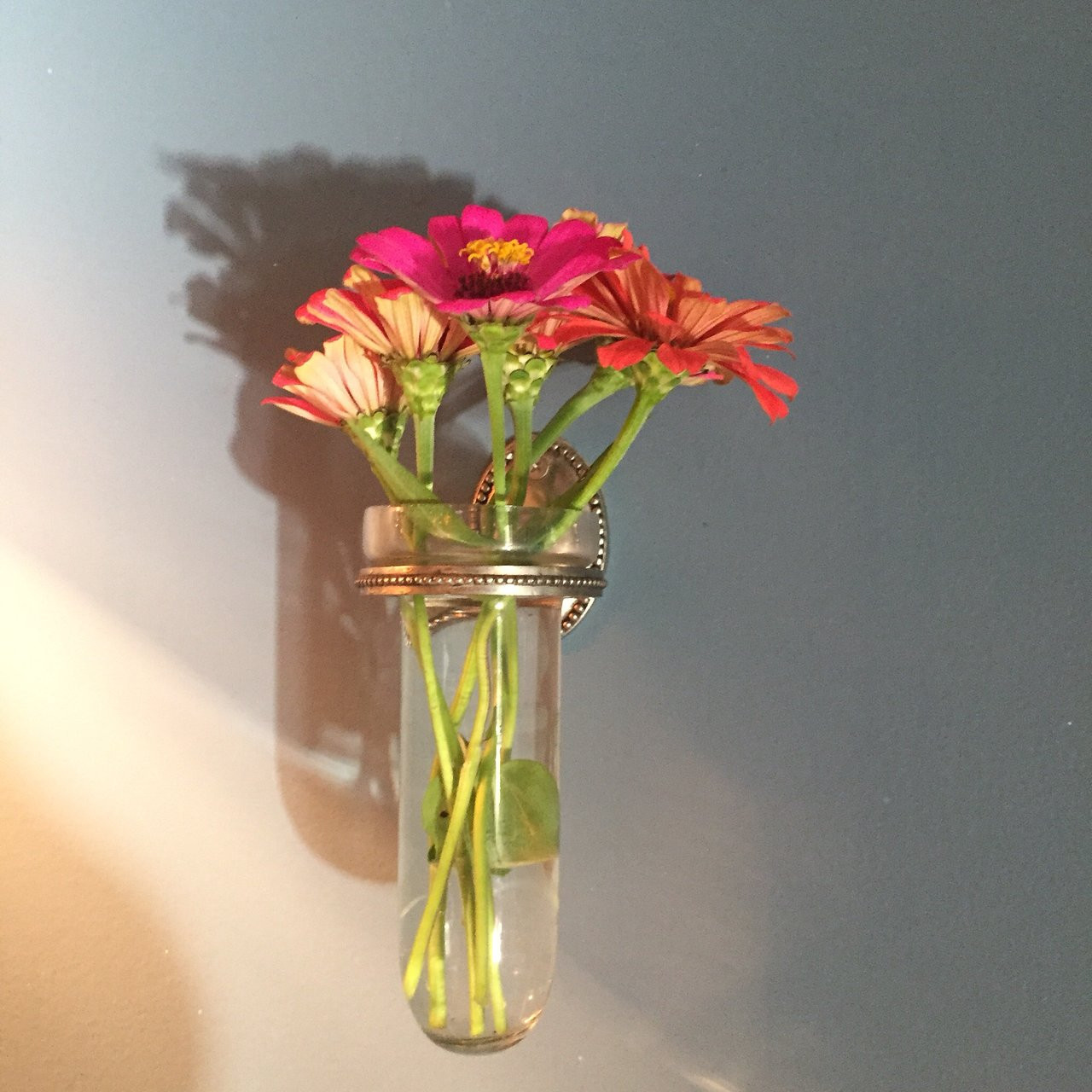 29 Stylish Happy Everything Vase 2024 free download happy everything vase of mill street inn updated 2018 prices bb reviews cambridge md within mill street inn updated 2018 prices bb reviews cambridge md tripadvisor