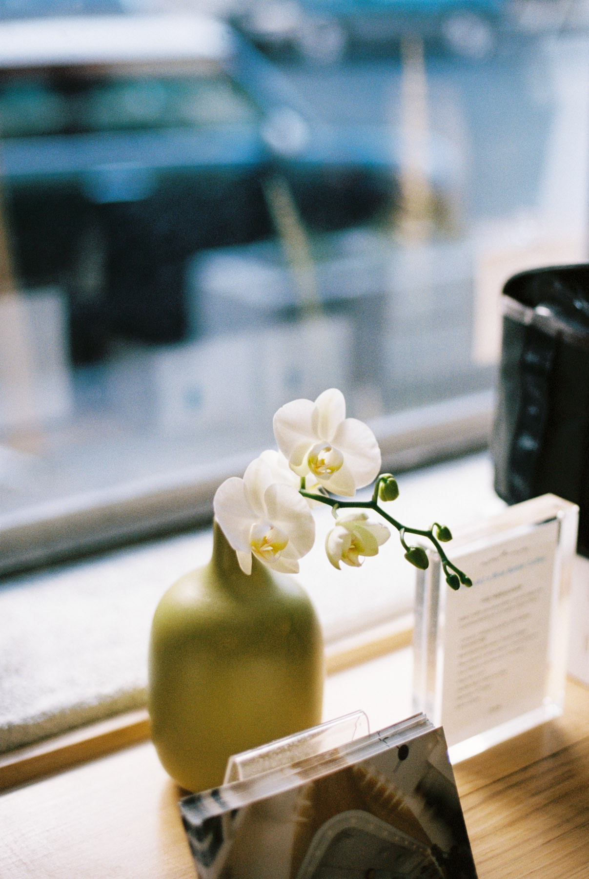 22 Wonderful Heath Bud Vase 2024 free download heath bud vase of san francisco by jasmin wong inside phalaenopsis in a heath bud vase at heath blue bottle coffee