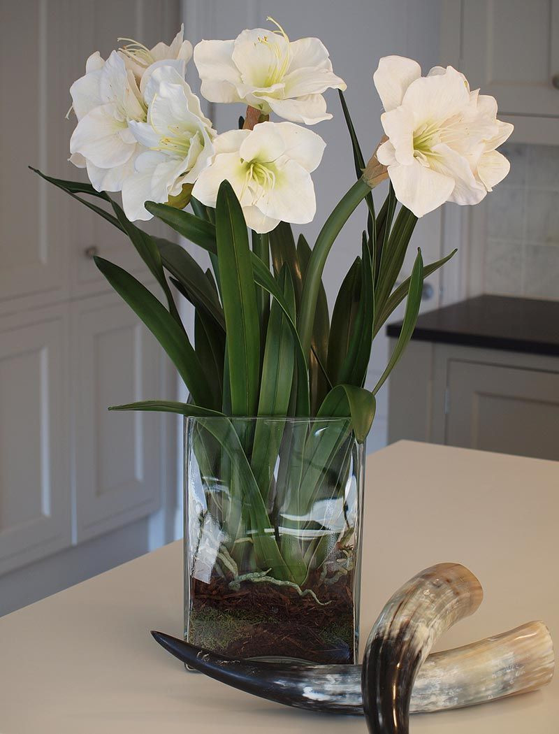 29 Elegant How to Hold Artificial Flowers In A Vase 2024 free download how to hold artificial flowers in a vase of amaryllis in tall glass cube white rtfact artificial silk in amaryllis in tall glass cube white rtfact artificial silk flowers orchid vase