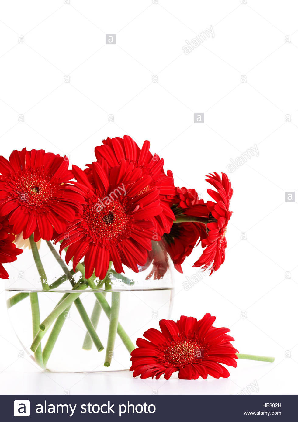 29 Elegant How to Hold Artificial Flowers In A Vase 2024 free download how to hold artificial flowers in a vase of photograph of red glass vase vases artificial plants collection pertaining to red glass vase pictures