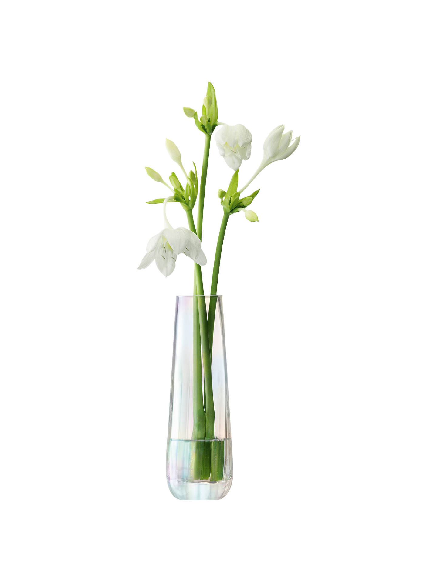 21 Wonderful Hummingbird Vase 2024 free download hummingbird vase of bud vases small glass vases with strong suction cups for t intended for buylsa international pearl optic bud vase h20cm online at johnlewis com