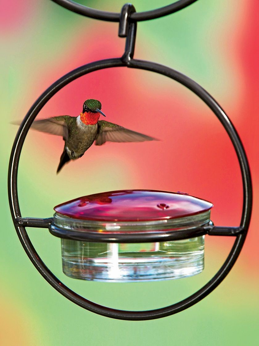 21 Wonderful Hummingbird Vase 2024 free download hummingbird vase of glass bird feeder elegant glass hummingbird feeder hummingbird throughout glass bird feeder elegant glass hummingbird feeder hummingbird feeders