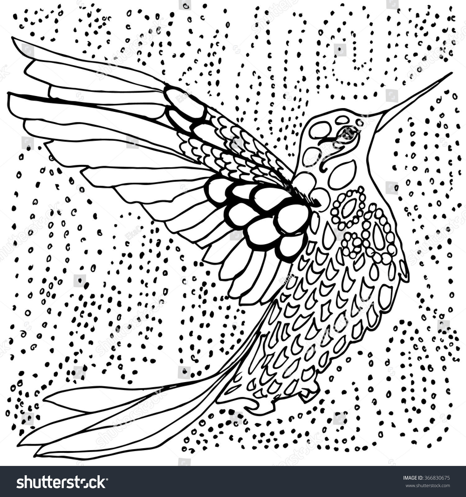 21 Wonderful Hummingbird Vase 2024 free download hummingbird vase of hummingbird drawings beautiful black and white animal drawings pertaining to hummingbird drawings beautiful black and white animal drawings beautiful hummingbird coloring