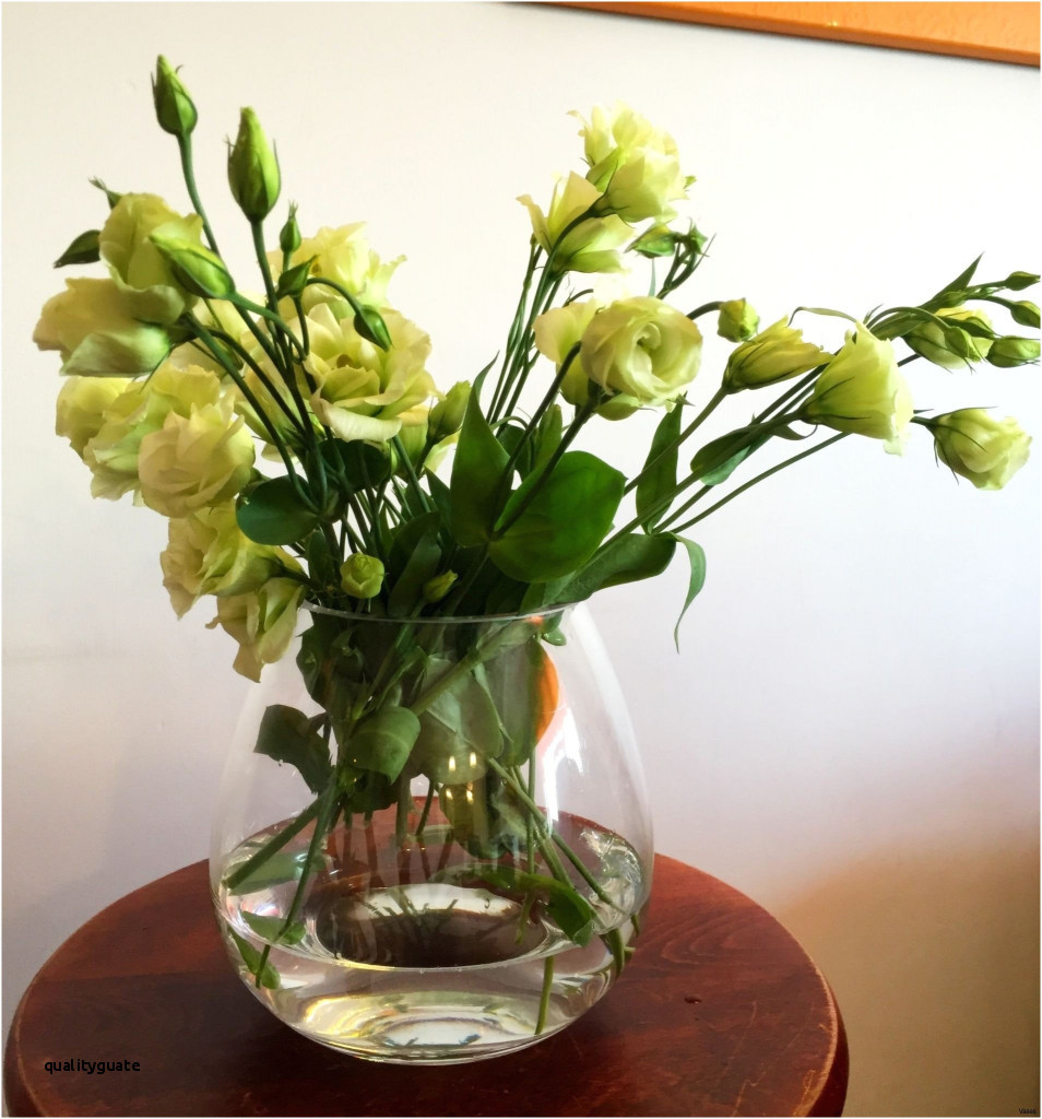 15 Unique Hydrangea In Vase 2024 free download hydrangea in vase of flower table awesome cheap flowers fantastic flower vase table 04h intended for flower table awesome cheap flowers fantastic flower vase table 04h vases tablei 0d