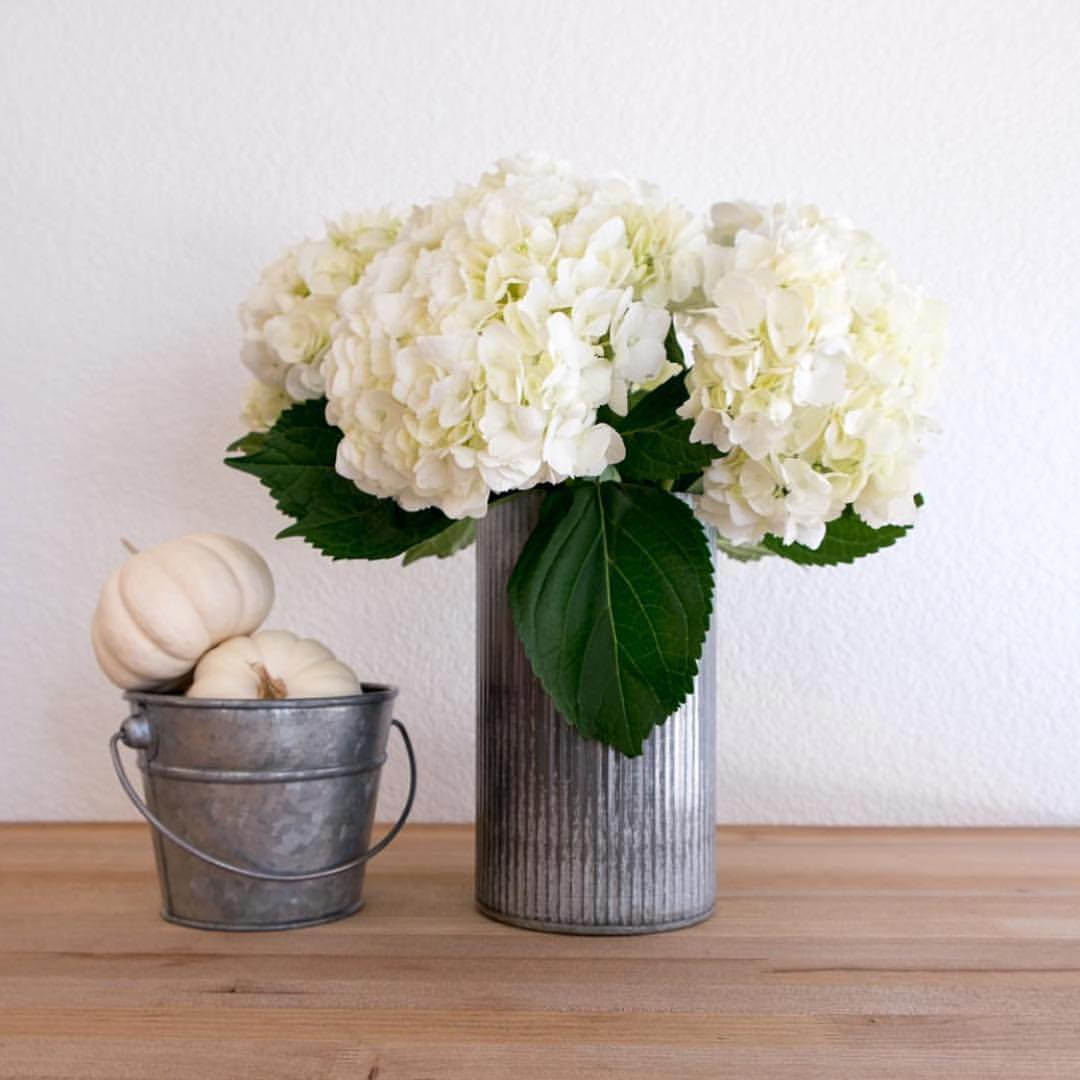 24 Cute Hydrangea In Vase with Acrylic Water 2024 free download hydrangea in vase with acrylic water of images about whitehydrangea tag on instagram pertaining to erin dc29fc28c accidental farmhouse accidentalfarmhouse