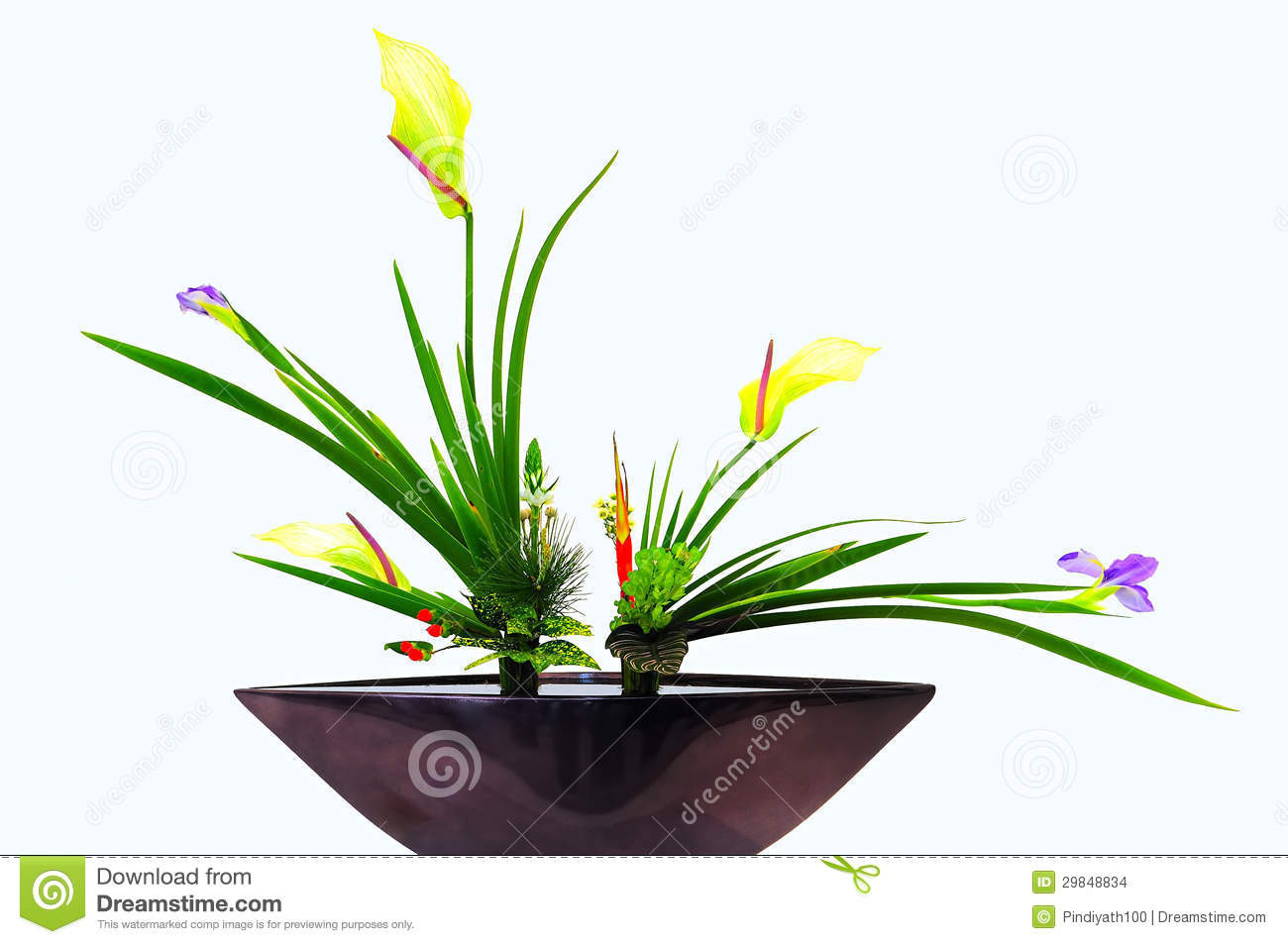 24 Awesome Ikebana Bamboo Vase 2024 free download ikebana bamboo vase of flowers in vase white background stock photo image of arrangement in download flowers in vase white background stock photo image of arrangement beauty 29848834