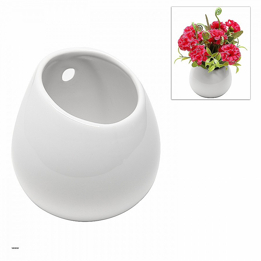 28 Awesome Kate Spade Rose Vase 2024 free download kate spade rose vase of wall sconces inspirational wall sconce vase wall sconce torch with full size of wall sconcesinspirational wall sconce vase wall sconce vase elegant diy floating