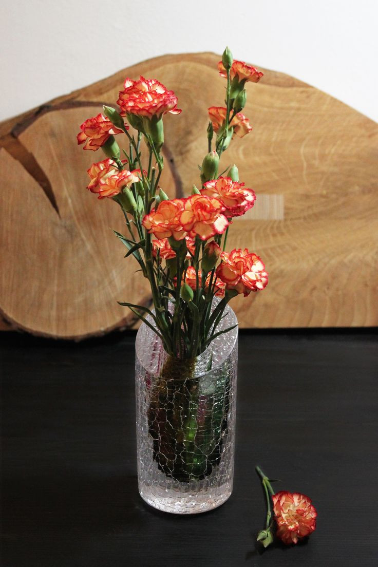 16 Fashionable Large Brandy Vase 2024 free download large brandy vase of 47 best spring season images on pinterest finland within mouthblown crackle glass vase by glass artist master glassblower kari alakoski suupuhallettu crackle lasimaljakk