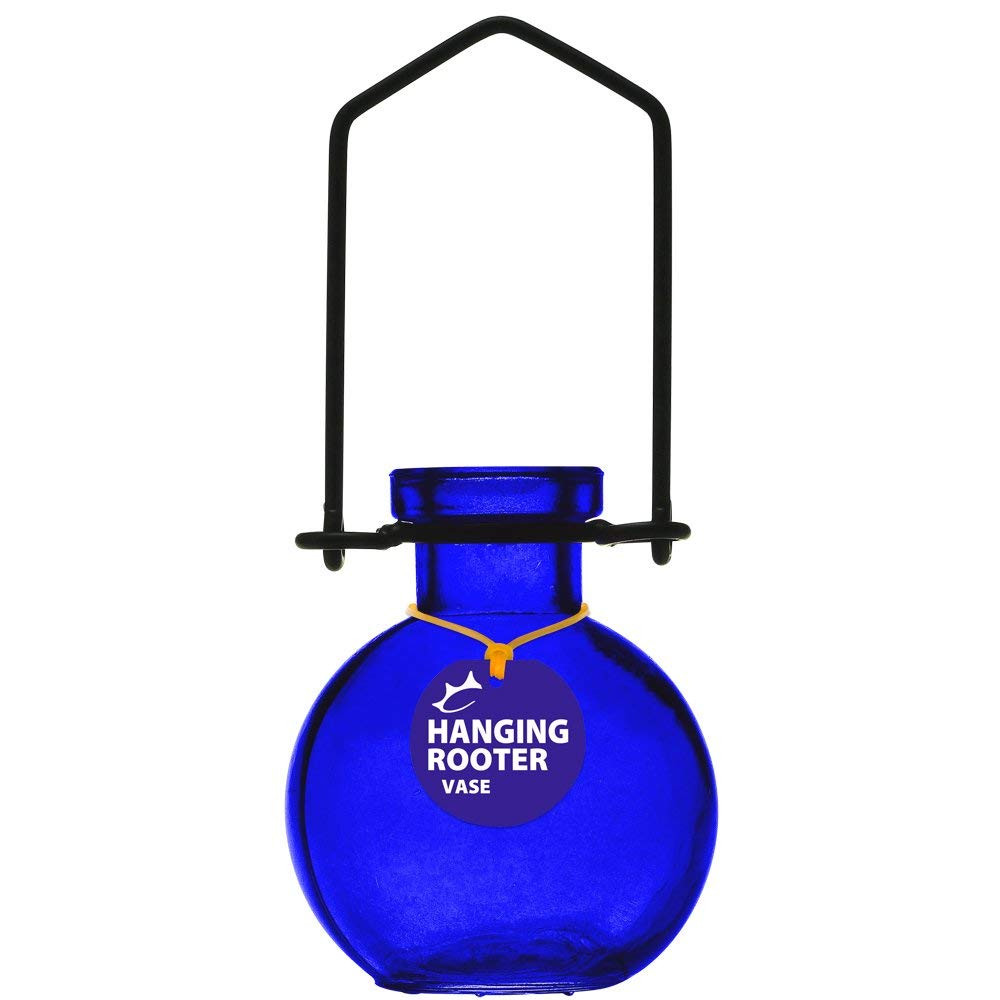 28 Fabulous Large Cobalt Blue Glass Vase 2024 free download large cobalt blue glass vase of amazon com couronne company m370 6545g15 hanging small ball within amazon com couronne company m370 6545g15 hanging small ball recycled glass rooting vase 6 1