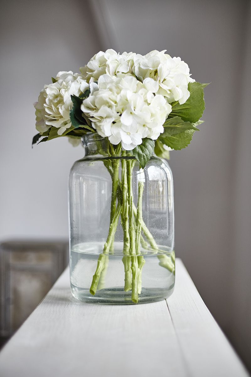 26 Nice Large Decorative Clear Glass Vases 2024 free download large decorative clear glass vases of large glass jars perfect for displaying beautiful hydrangeas in large glass jars perfect for displaying beautiful hydrangeas available at just so