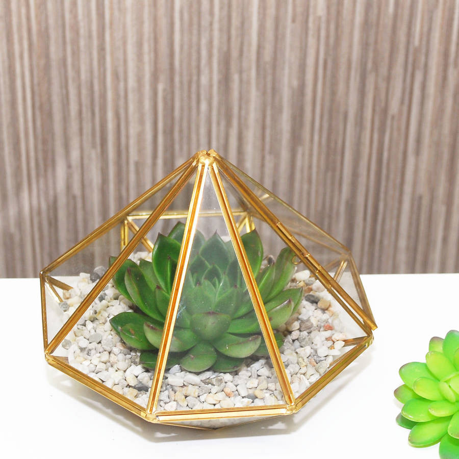 14 Perfect Large Glass Cube Vase 2024 free download large glass cube vase of large diamond glass succulent terrarium by dingading terrariums inside large diamond glass succulent terrarium