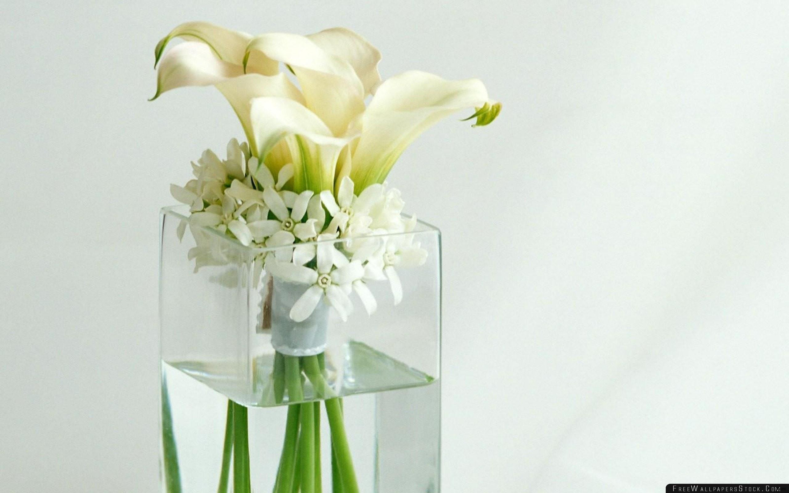 29 attractive Large Glass Hurricane Vase 2024 free download large glass hurricane vase of ideas for vases www topsimages com throughout diy centerpiece ideas best of tall vase centerpiece ideas vases flowers in water artificial of diy