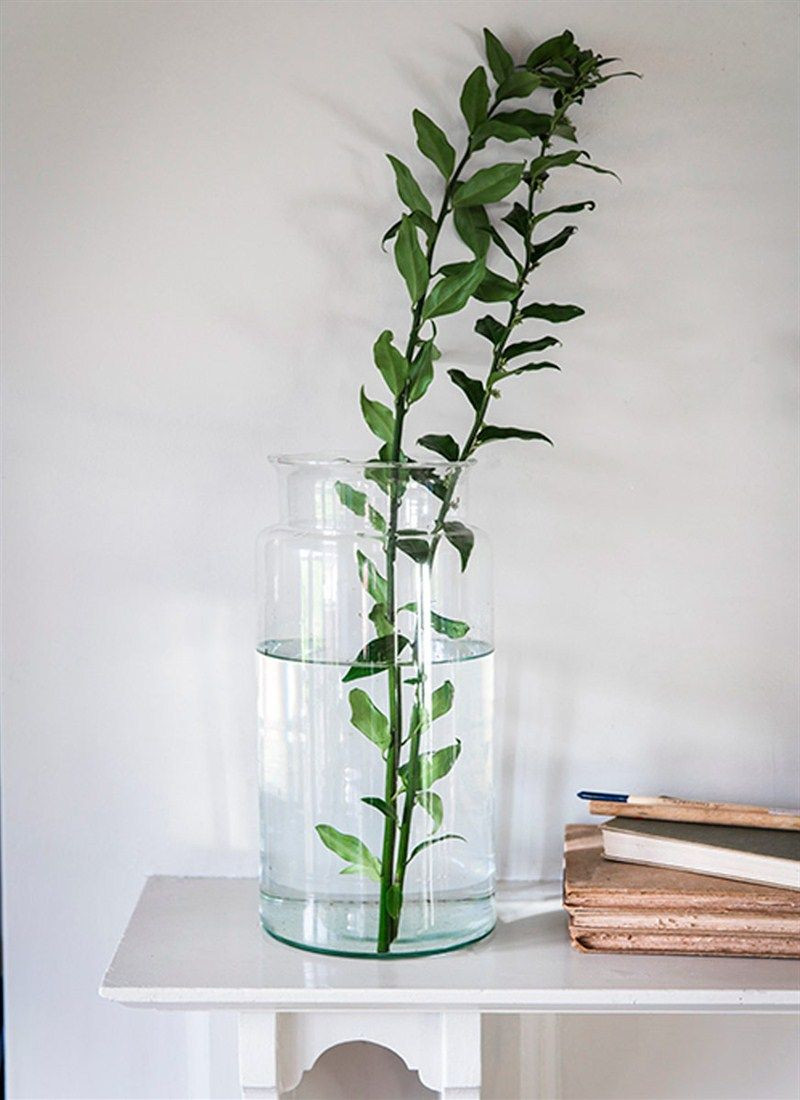 19 Perfect Large Glass Vase Ideas 2024 free download large glass vase ideas of stunning large glass design for flowers of all sizes flora pertaining to stunning large glass design for flowers of all sizes