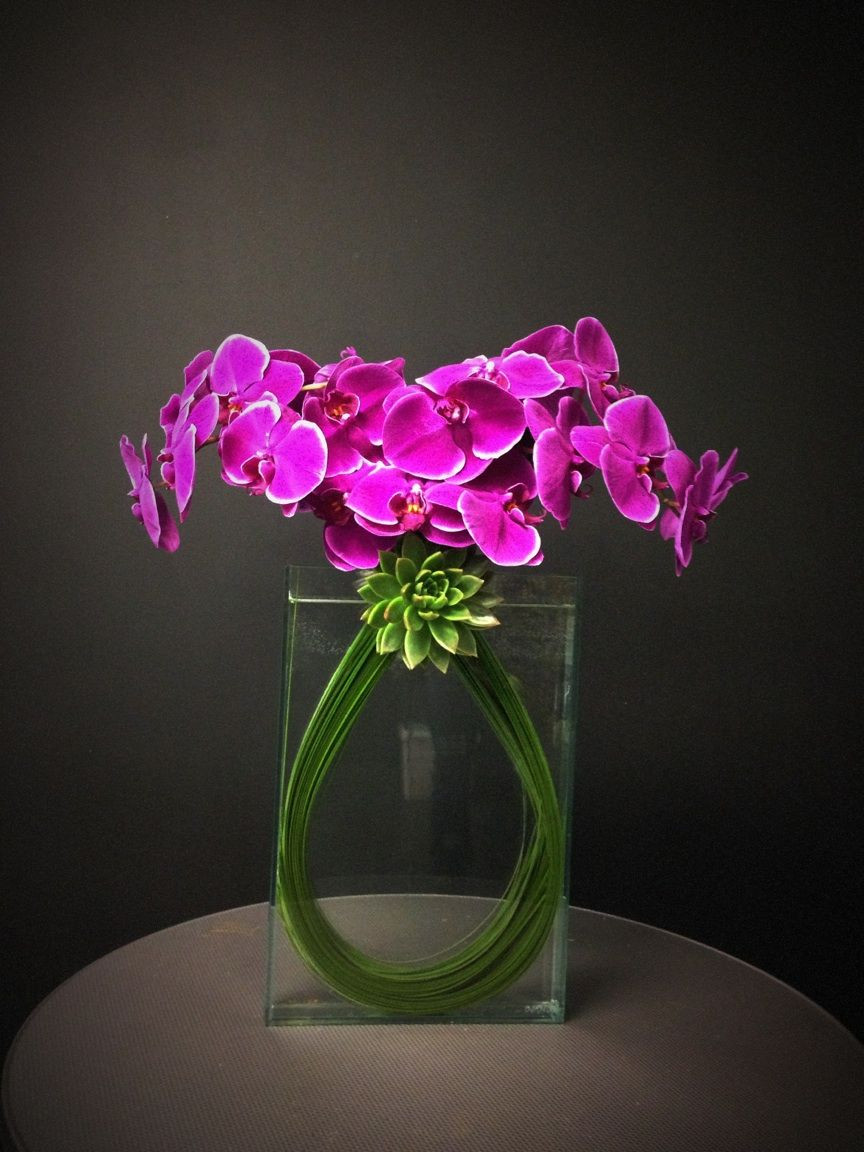 10 Nice Large orchid Vase 2024 free download large orchid vase of compo apurae avec orchidaes et tiges de bergrass center pieces with regard to compo apurae avec orchidaes et tiges de bergrass