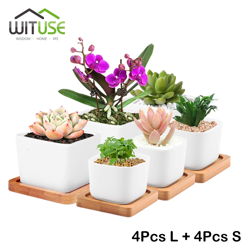 27 Unique Large Plant Vase 2024 free download large plant vase of wituse 8x small large potted flower vase white ceramic bonsaipot intended for wituse 8x small large potted flower vase white ceramic bonsaipot square succulent plant plan