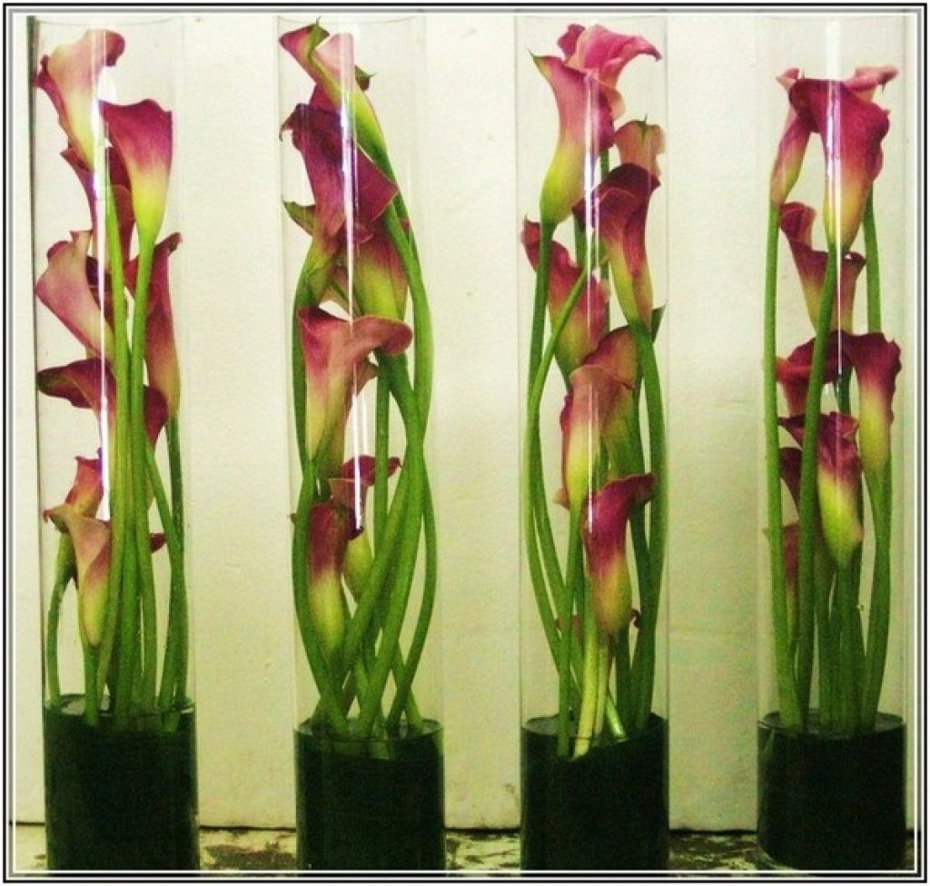 20 Popular Large Tall Clear Glass Vases 2024 free download large tall clear glass vases of tall vase flower centerpieces flowers healthy within gl vases tall vase flower arrangements home design ideas intended for arrangement arrangement