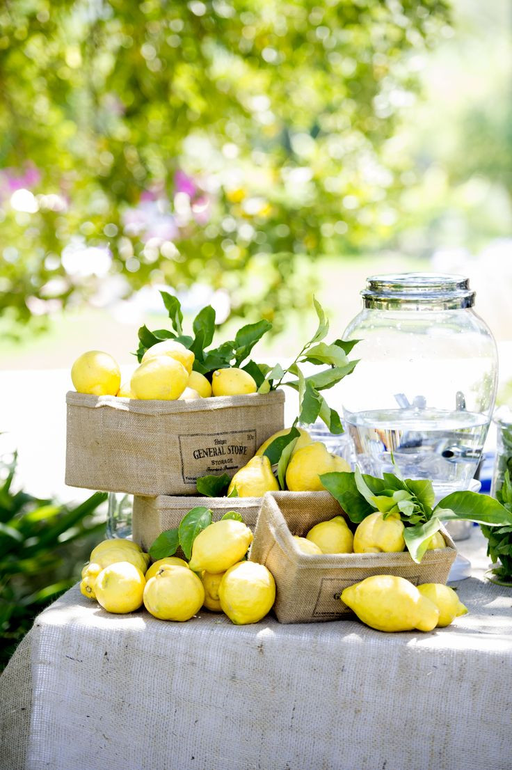 18 Cute Lemon Vase Filler 2024 free download lemon vase filler of 387 best ac29dlemon lime zestac29d images on pinterest lemon lime in find this pin and more on ac29dlemon lime zestac29d by dc29fc28cc2b9dc29fc28cdc29fc28cot