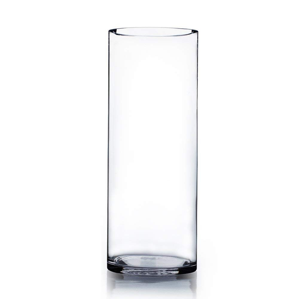 17 Awesome Libbey Cylinder Bud Vase 2024 free download libbey cylinder bud vase of amazon com wgv clear cylinder glass vase 4 by 12 inch home kitchen pertaining to 51epx7j1anl sl1000