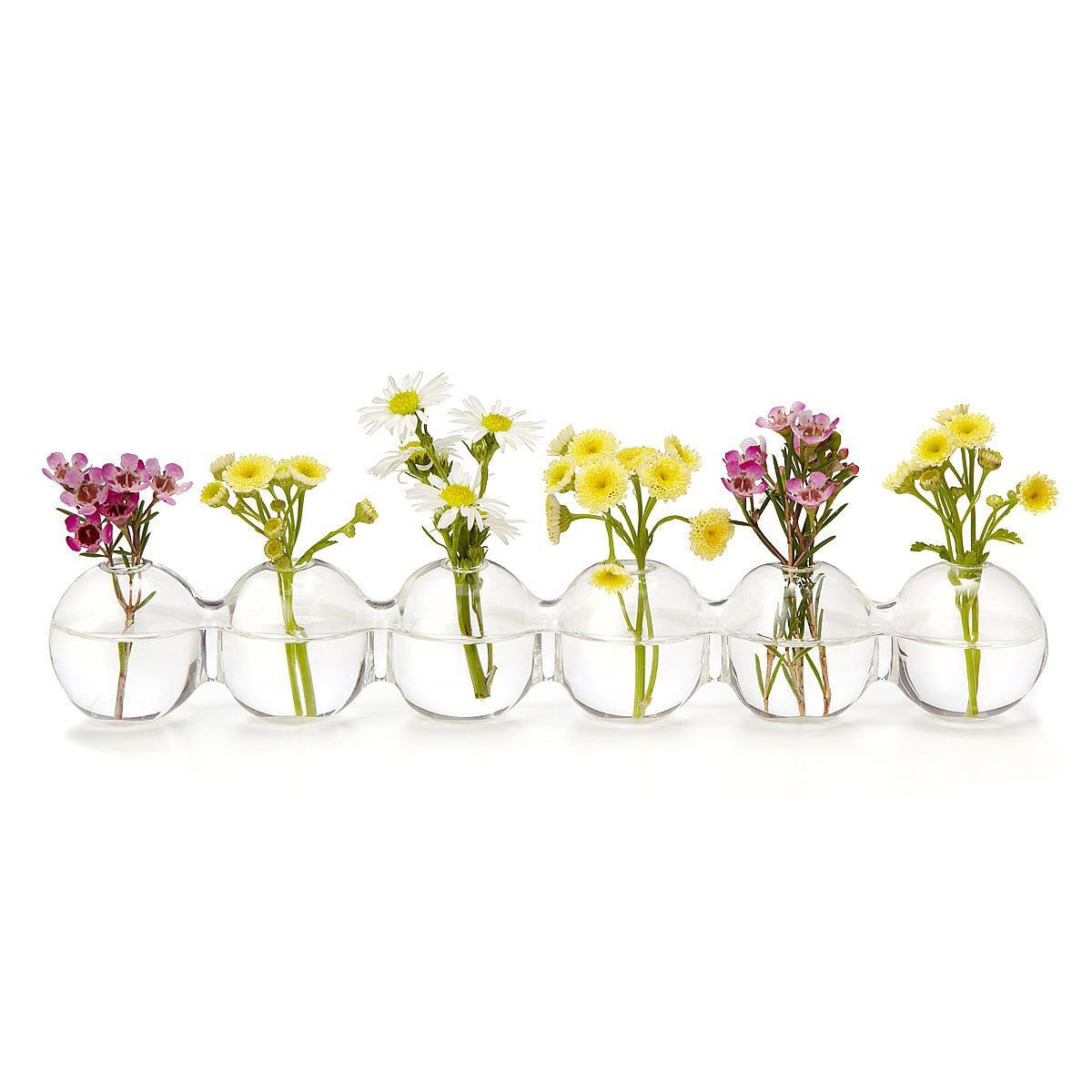 11 Spectacular Lightbulb Bud Vase 2024 free download lightbulb bud vase of caterpillar bud vase bulbs display and glass regarding this bud vase with a row of attached glass bulbs allows you to create elegant floral displays