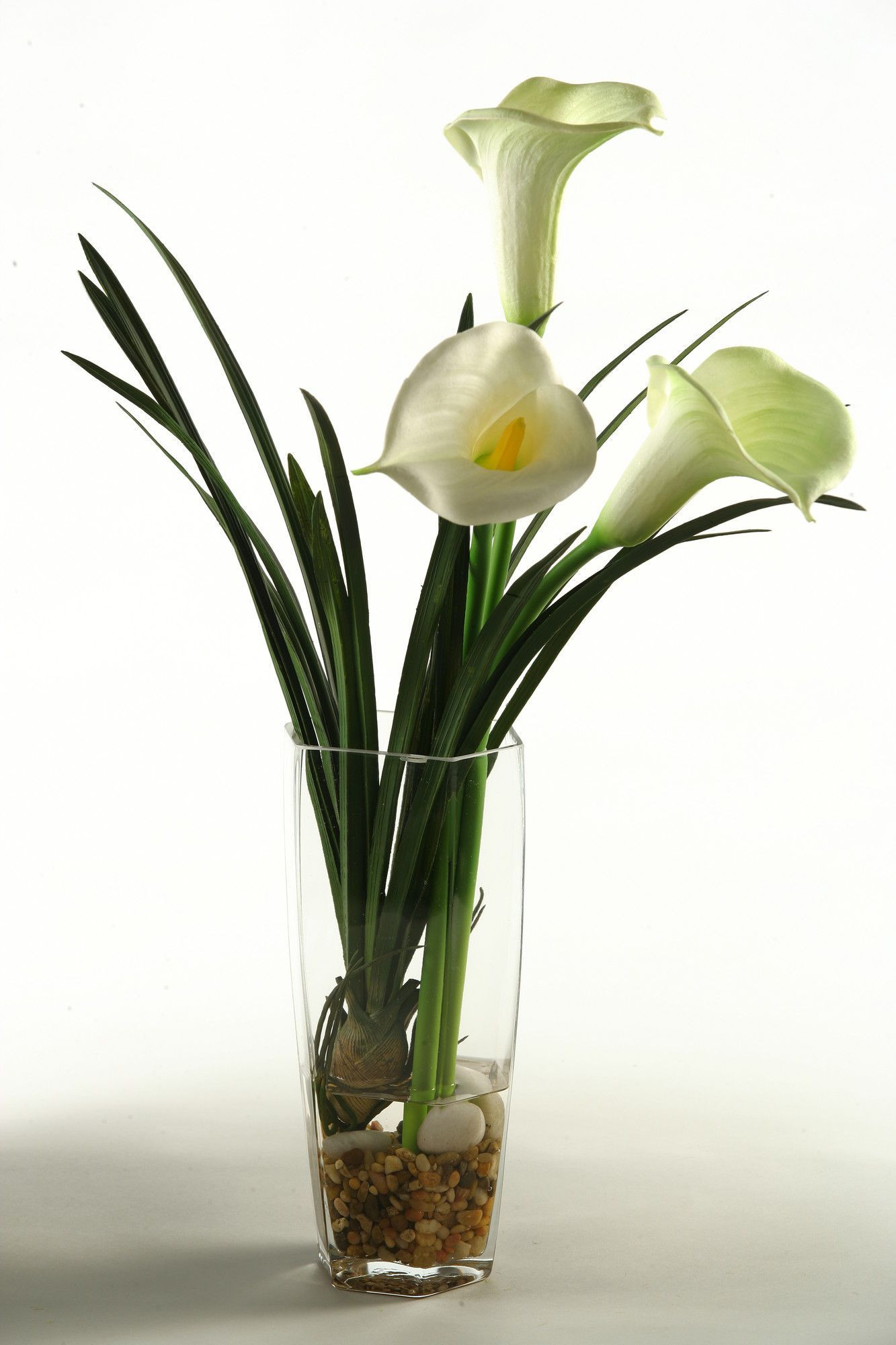 19 Cute Lily Vase 2024 free download lily vase of calla lilies in glass vase products pinterest calla lilies and in calla lilies in glass vase