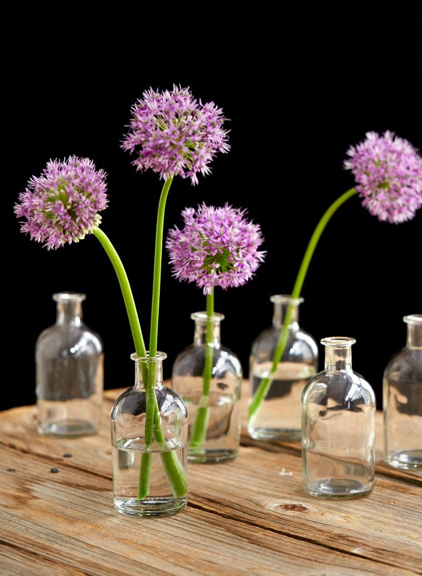 13 attractive Little Flower Vases 2024 free download little flower vases of clear medicine bottle bud vase set of 6 collectibles pinterest within medicine bottle bud vase vintage look glass vases wedding event party supplies nyc eventprofs tab