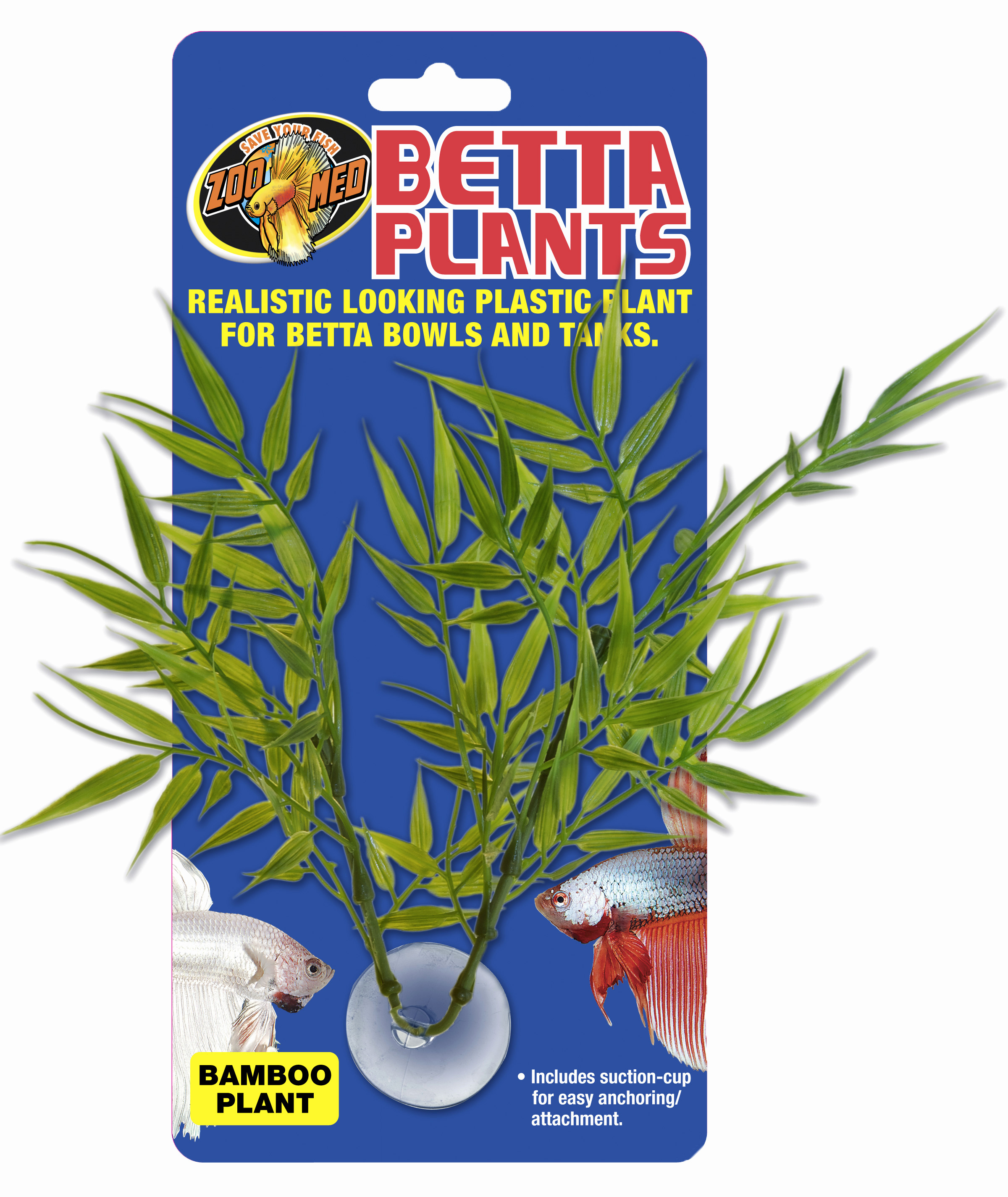 12 Stylish Live Plants for Betta Fish Vase 2024 free download live plants for betta fish vase of bamboo plant for betta fish awesome alternative alexandra plants throughout plants pinterest bamboo plant for betta fish lovely betta plant bamboo zoo med 