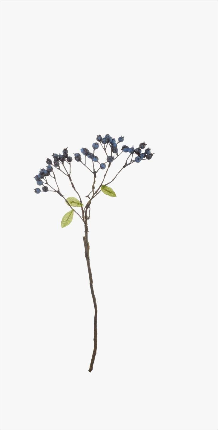 22 Unique Long Twigs for Vases 2024 free download long twigs for vases of fresh ideas on branches for vases for use architectural home plans throughout blueberry twig decoration branches decoration products