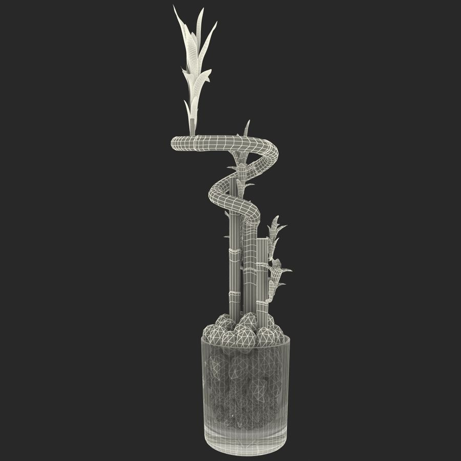 21 Lovable Lucky Bamboo Plant with Glass Vase 2024 free download lucky bamboo plant with glass vase of lucky bamboo 2 3d model 39 obj ma max lwo c4d 3ds free3d intended for lucky bamboo 2 royalty free 3d model preview no 16