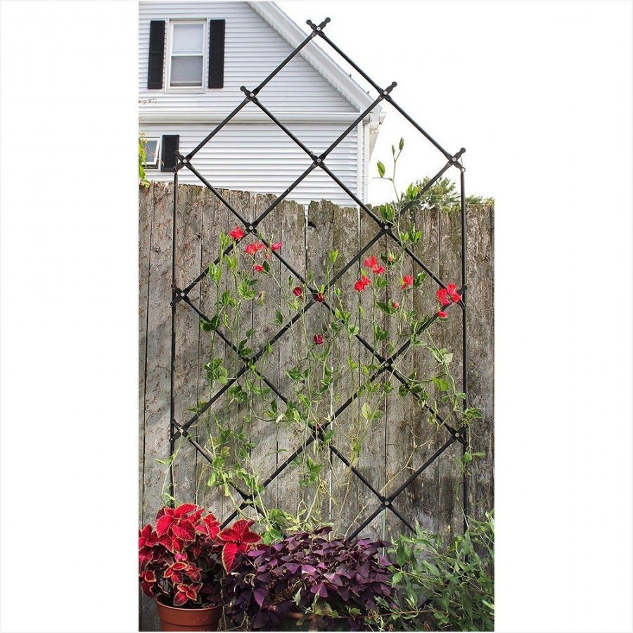 25 Wonderful Macy's Vases Decorative Accents Sale 2024 free download macyamp039s vases decorative accents sale of home decor part 18 with awesome lattice trellis pics