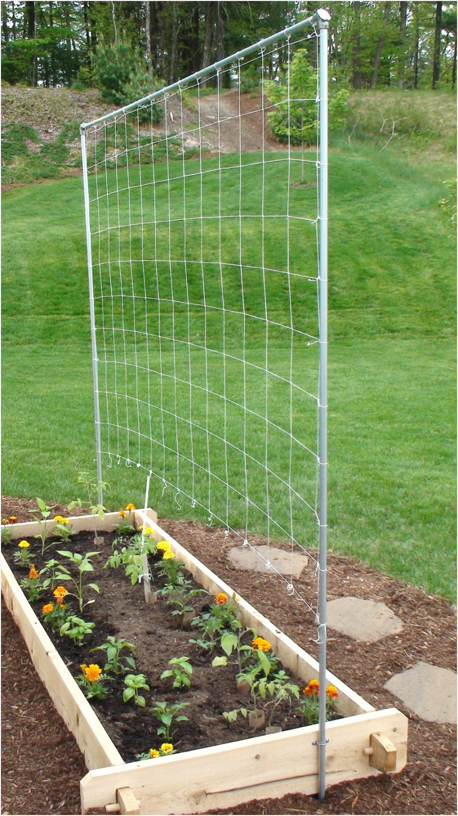 25 Wonderful Macy's Vases Decorative Accents Sale 2024 free download macyamp039s vases decorative accents sale of inspirational garden trellis netting pics home decor with how to build a simple trellis for a tomato and ve able garden