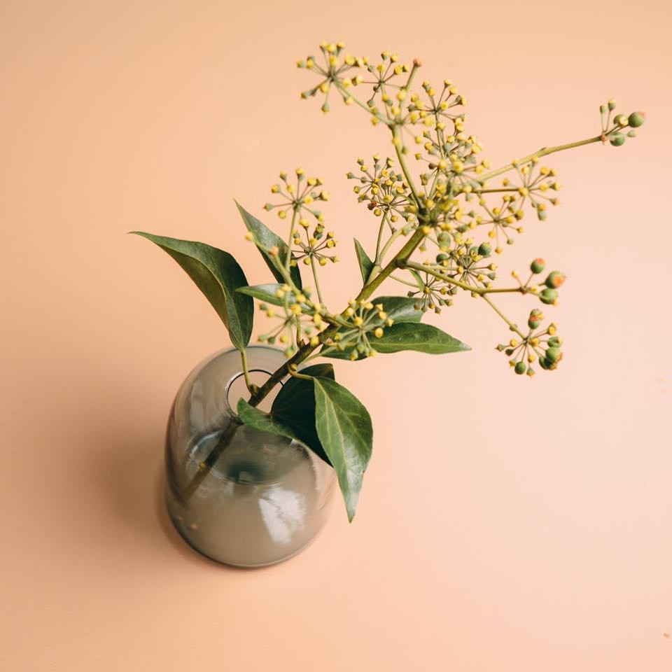 14 Elegant Marshalls Home Goods Vases 2024 free download marshalls home goods vases of homegoodsstore hash tags deskgram with regard to gumdrop vase in sage available under homegoods www forallhandkind