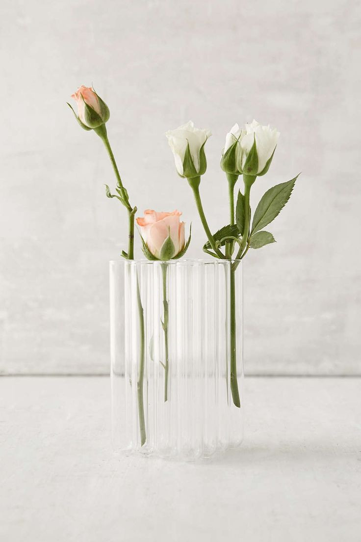 30 Wonderful Nicole Miller Home Vase 2024 free download nicole miller home vase of 28 best a lovely home accessories images on pinterest guest regarding field vase