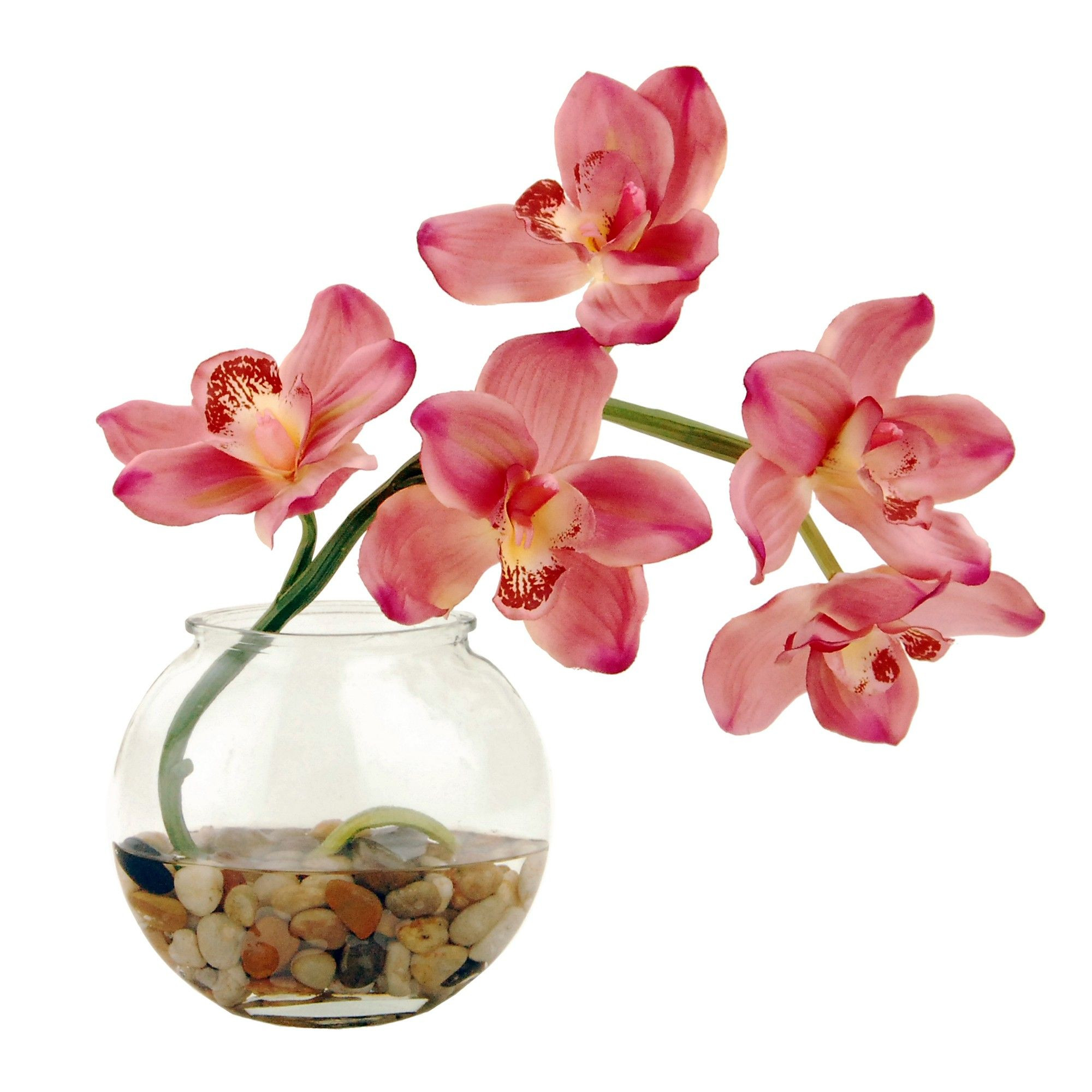 29 Cute Orchid Arrangements In Glass Vases 2024